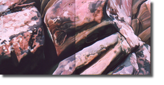 Landscape/Painting (2002)
210 x 105 cm
oil on canvas Landscape/Painting (2002)
210 x 105 cm
oil on canvas